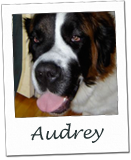 Audrey